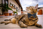 Cat Collar Breakaway with Bell and Removable Bow Tie Safety Buckle Velvet - Image 7