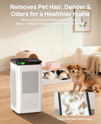 Air Purifiers for Home Large Rooms up to 3500 Ft², H13 True HEPA 0.1 Micron - Image 6