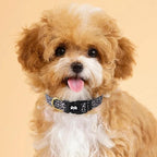 QQPETS Adjustable Soft Dog Collar: Print Flower Pink Multicolor Cute Patterns - Image 8