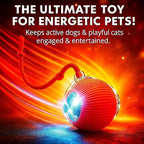 2026 New 2Pack Cat Ball Kitten Toys - Image 8