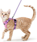 rabbitgoo Cat Harness and Leash by rabbitgoo