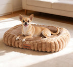 Orthopedic Dog Bed for Small Medium Dogs & Cats by Unknown