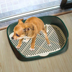 Dog Tray with Wall for Cats and Dogs, Elevated Pet Feeding Station, - Image 4