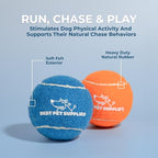 Best Pet Supplies Interactive Squeaky Dog Chew Toy, Ideal Dog Toys - Image 4
