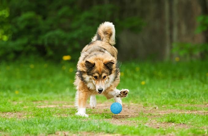 Snug Rubber Dog Balls for Small and Medium Dogs - Image 7