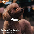 Reflective Dog Collar for Medium Dogs, Cute Adjustable Heavy-Duty Nylon Puppy - Image 3