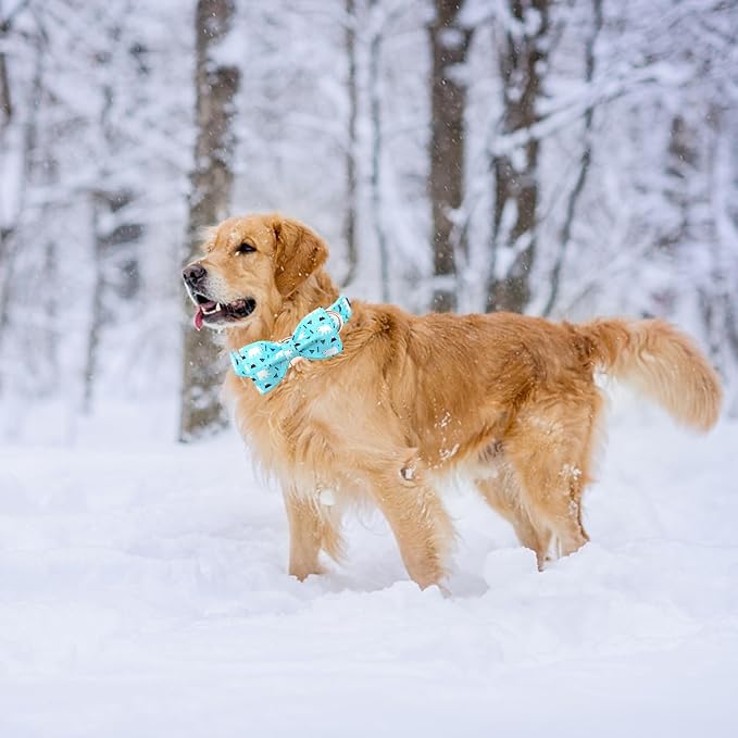 Dog Collar, Bow Collar Blue Bear Pattern Pet Collar Cute Bow Tie Soft Girl Boy - Image 6