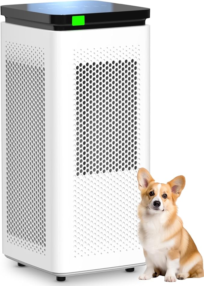 Air Purifiers for Home Large Rooms up to 3500 Ft², H13 True HEPA 0.1 Micron by SIESEAN