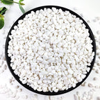 10LB Succulent and Cactus Gravel, 1/5 Inch White Natural Decorative Polished by YISZM-ForYourNaturalLife
