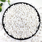 2LB Succulent and Cactus Gravel Pebbles, 1/5 Inch White Natural Decorative by YISZM-ForYourNaturalLife