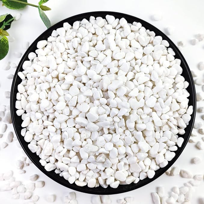 2LB Succulent and Cactus Gravel Pebbles, 1/5 Inch White Natural Decorative by YISZM-ForYourNaturalLife