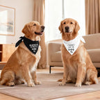 Baby Security Dog Bandana - Image 6