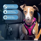 Best Pet Supplies - Image 5