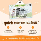 PawFurEver Personalized Dog Driver License ID Tag - Image 4