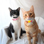 azuza 4 Pack Cat Kitten Collar Breakaway - Image 3