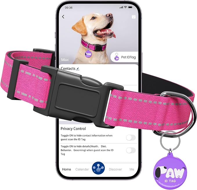 Reflective Dog Collar for Small Dogs by Pawduct