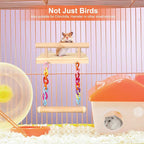 Bird Perches Cage Toys Parrot Wooden Platform Play Gyms Exercise Stands - Image 4