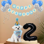 Pet Birthday Party Set, Dogs Bandana and Dog Birthday Hat - Image 4