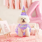 Dog Birthday Bandana with Hat and Dress Girl Set Puppy Birthday Party Supplies - Image 4