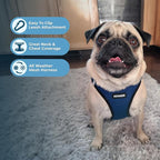 Best Pet Supplies Voyager Step-in Air Harness - Image 3