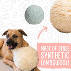 HuggleHounds Plush Ball Dog Toy - Image 4