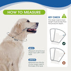 Dog Cone Collar After Surgery, Soft Cone - Image 3