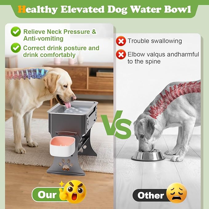 1.5 Gallon Elevated Large Dog Water Bowl, 2 Height Adjustable Stainless Steel - Image 3