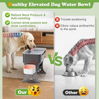 1.5 Gallon Elevated Large Dog Water Bowl, 2 Height Adjustable Stainless Steel - Image 3