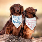 2 Packs Baby Announcement Dog Bandana Our Humans are Getting Us a Baby Gender - Image 5