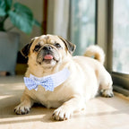 Segarty Dog Bow Tie for Neck Girth 10.2-12.6in, Adjustable Light Blue Plaid - Image 6