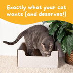 Hide & Scratch Cardboard Cat Scratcher Box & Bed - Image 6