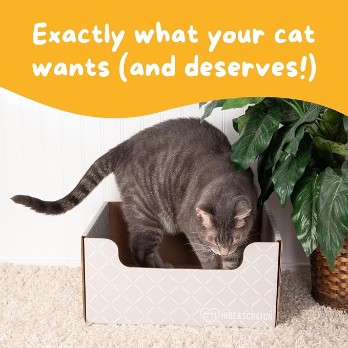 Hide & Scratch Cardboard Cat Scratcher Box & Bed - Image 6