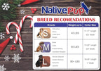 Native Pup Christmas Dog Collar- Winter Holiday Collars - Image 5