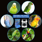 Yaomiao 8 Pcs No Mess Small Bird Feeders - Image 5