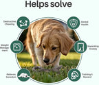 Gardner Pet 4-Pack Dog Chew Toy, Long Lasting Interactive Dog Toys Add Shredded - Image 6