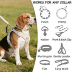 YUEPET Dog Safety Collar Clips 2 Pack Adjustable Prong Collar Backup Clips - Image 4