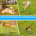 Dog Agility Training Equipment, 72-Piece Obstacle Course Training Starter Kit - Image 3