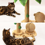 Cat Scratching Post, Wooden Cat Scratcher Toy - Image 7