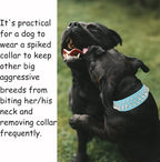 TEEMERRYCA Adjustable Microfiber Leather Spiked Studded Dog Collars - Image 3