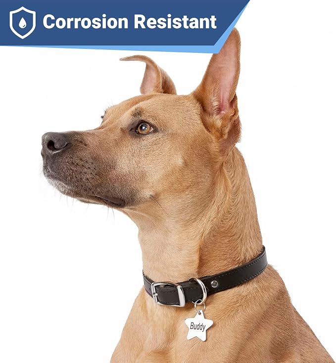 GoTags Stainless Steel Pet ID Tags, Personalized Dog Tags and Cat Tags - Image 4