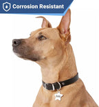 GoTags Stainless Steel Pet ID Tags, Personalized Dog Tags and Cat Tags - Image 4