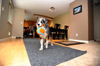 Chuckit! Indoor Fetch Ball Dog Toy - Image 5