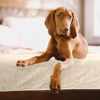 PETMAKER Dog Blanket - Image 7
