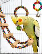 22-Pack Bird Toys for Parakeets & Small Birds – Colorful Cage Fun - Image 5