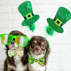 St. Patrick's Day Cat Bowtie - Image 7