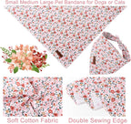 Summer Dog Bandana, UP URARA PUP Orange Bandana - Image 2