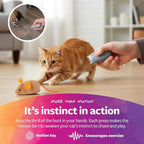 SmartyKat Electronic Motion/Moving Toys - Image 5
