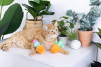 Pearhead Prickly Plants Cat Toy Set, Cute Catnip Toys, Plush Cactus Interactive - Image 6
