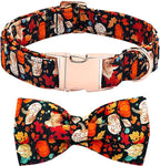 Fall Dog Collar, Leaf Pumpkin Print Adjustable Pet Collar Cute Cotton Soft by BoboRainbow
