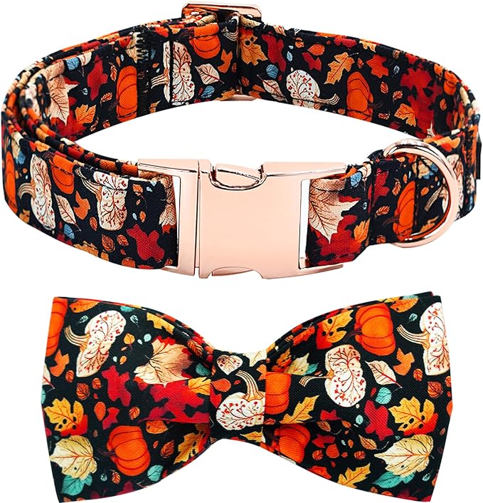 Fall Dog Collar, Leaf Pumpkin Print Adjustable Pet Collar Cute Cotton Soft by BoboRainbow